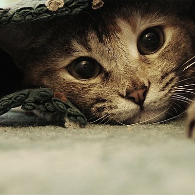 Timeline: LINEA DE VIDA SERGIO (INVENTADO)