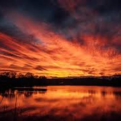 Timeline: Linea de la vida