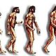 Homo sapiens
