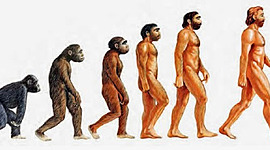 Timeline: Desarrollo y evolucion humana