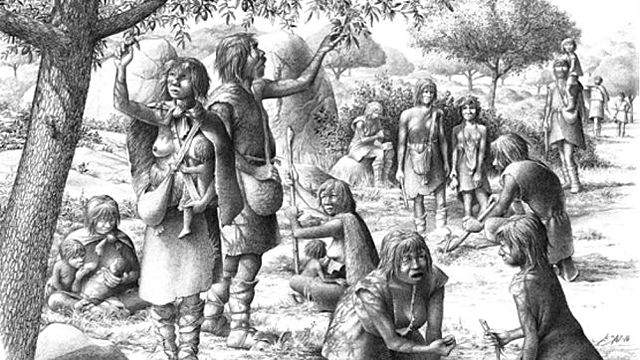 Comunidad primitiva y trabajo