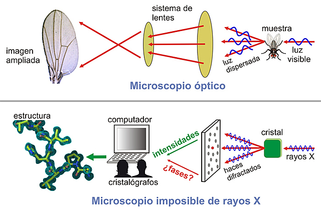Difracción de rayos X