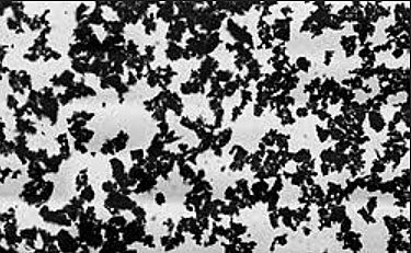 ESTUDIO SOBRE EL EFECTO DE LOS MICROPOROS