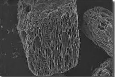 ELECTRODOS EN FORMA DE ALAMBRE