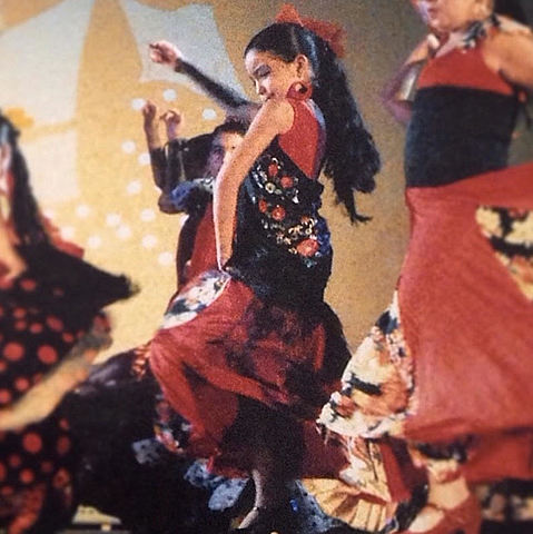 Presentación de Flamenco