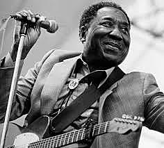 Muddy Waters and Chicago Blues