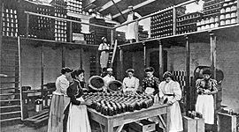 Timeline: Progressive Era