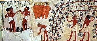 Desarrollo de la fermentación