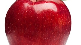 Timeline: History of Education