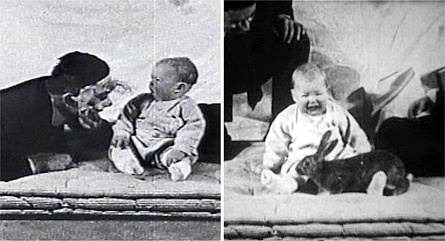 Experimento del pequeño Albert