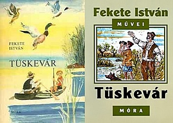 Tüskevár