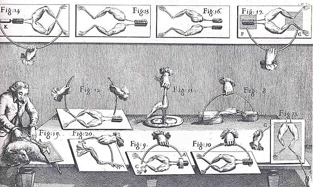 Luigi Galvani (1737-1798)