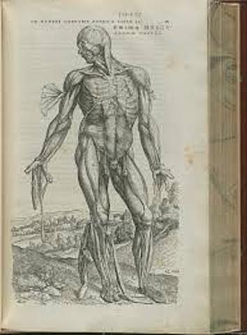 Vesalio