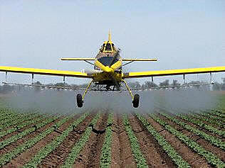 EFECTOS DE LA TECNOLOGÍA