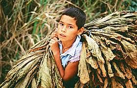 1874 se extiende la ley no al trabajo infantil