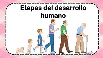 Etapas del desarrollo desde la perspectiva de varios autores.