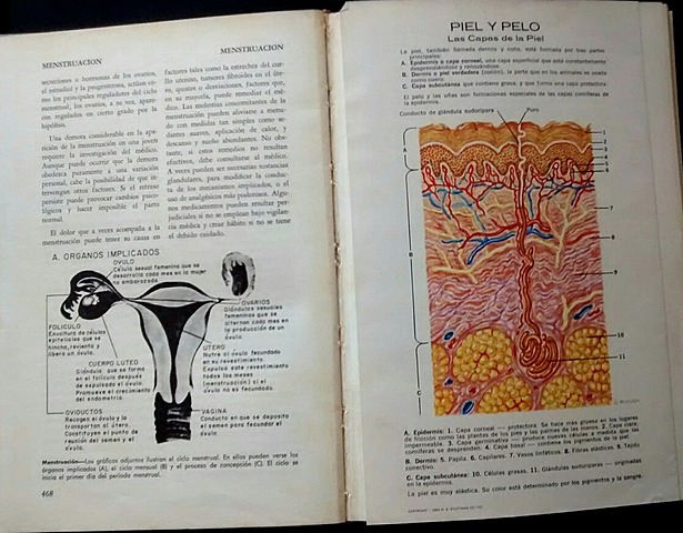Gonzalo de Oviedo y Valdés publicó una enciclopedia sobre artes curativas y plantas medicinales en América