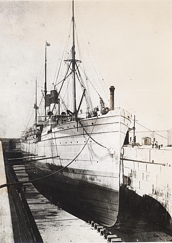 una epidemia de cólera transmitida a Europa a través de personas infectadas que viajaban en barcos procedentes de la India