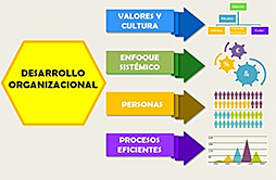 DESARROLLO ORGANIZACIONAL