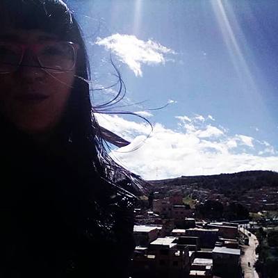 Timeline: Linea del tiempo Diana Marcela Calcetero