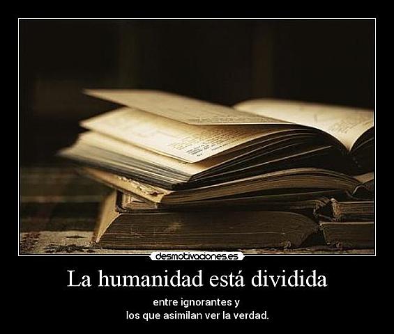 Problematica Social: Conflictos y División