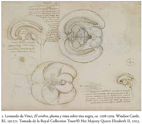 Leonardo Da Vinci 1452-1519