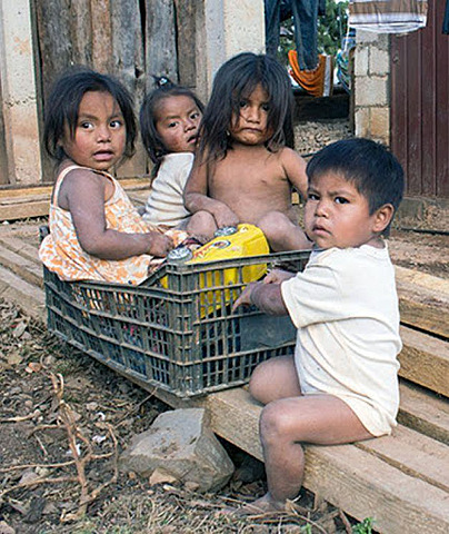 Historia de la infancia en Latinoamérica Siglo XX