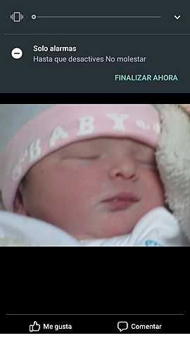 Nacimiento DE MAJOLIN