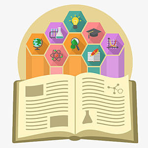 Ley orgánica de institución pública