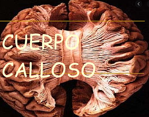 Francisco Joseph y  Johann Casper