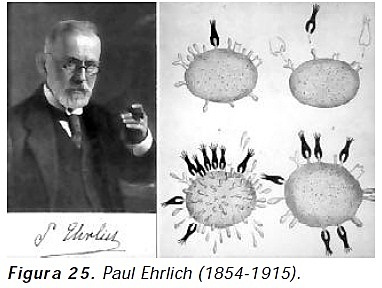 Paul Elrich 1854-1915