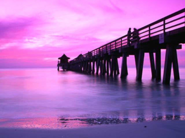 went to Florida for the first time