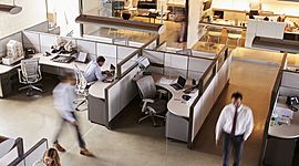 Timeline: LINEA DE TIEMPO