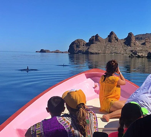 Conoci a mi animal favorito