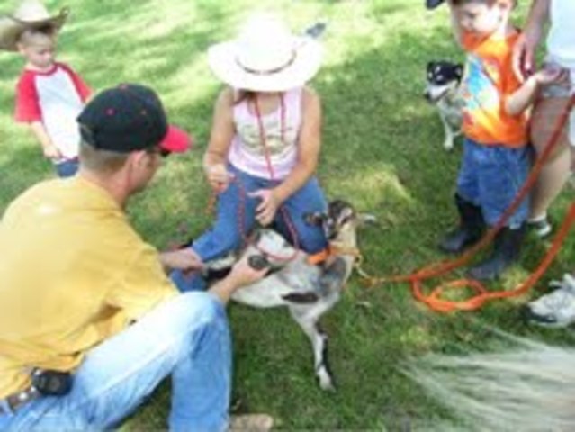 Learning how to Goat Tie!