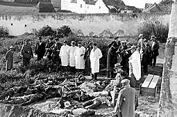 SUCESOS DE CASAS VIEJAS