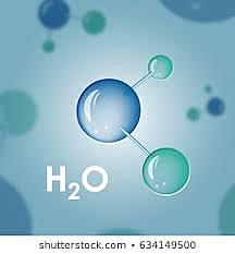 Descubrimiento y Contribuciones al estudio de los gases.