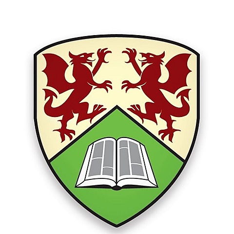 The emergence of the discipline