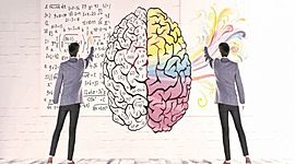 Timeline: Desde los orígenes al presente: las neurociencias de la conducta, un viaje que no se detiene.