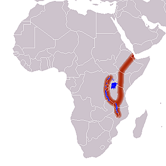 La Cuna de la Humanidad