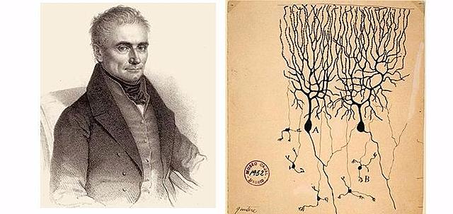 Jan Evangelista Purkije