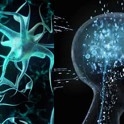 Timeline: LA HISTORIA DE LA  PSICOLOGÍA .                                                     Elaborado  por Siria Chimbaco - Luis Carlos Urrego- Yeismy Rocha