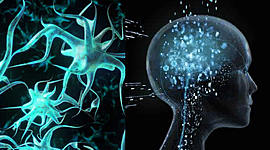 Timeline: LA HISTORIA DE LA  PSICOLOGÍA .                                                     Elaborado  por Siria Chimbaco - Luis Carlos Urrego- Yeismy Rocha