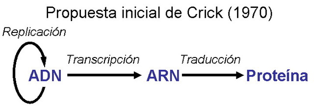 Formulació del Dogma de la Biologia Molecular
