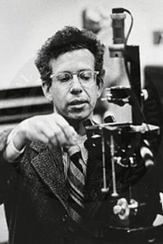 Descobriment de la transcriptsa inversa per Temin