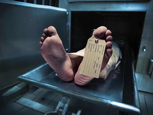 DE LA INVESTIGACIÓN EN ÓRGANOS, TEJIDOS Y SUS DERIVADOS, PRODUCTOS Y CADÁVERES DE SERES HUMANOS.