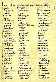 Capitulare de villis