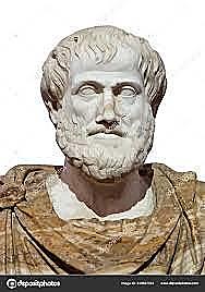 Consideración cerebral según Aristoteles