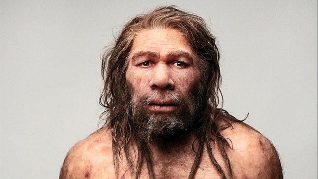 Neandertales