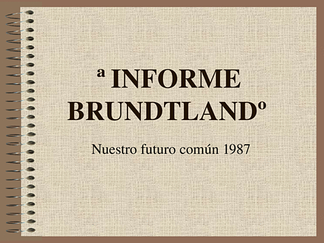 Informe Brundtland
